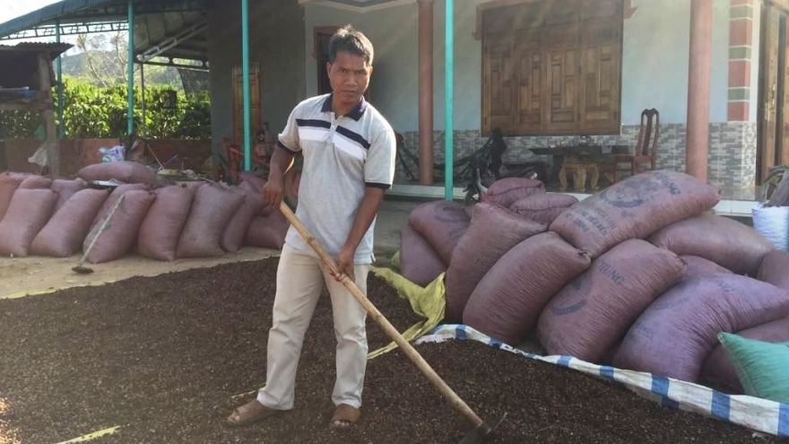 Làm giàu trên vùng đất khó Rô Men của Tây Nguyên